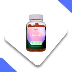 Leanix